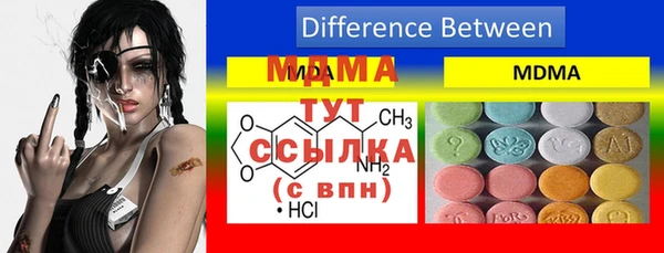 гашик Алексеевка