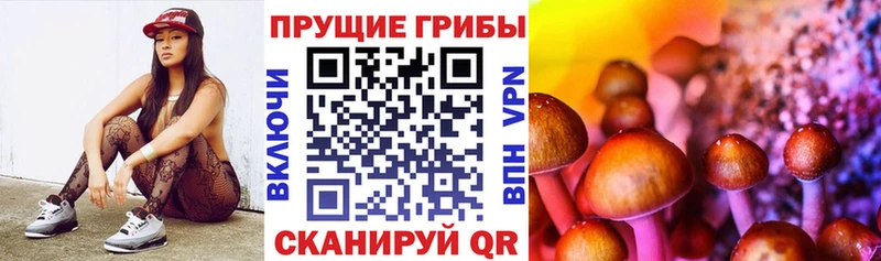Псилоцибиновые грибы мухоморы  Краснокамск 